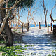 First Glimpse Of The Ocean, Bribie Island, Pastel, 57 x 38cm