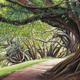 Auckland Botanical Gardens, Pastel, 70 x 51cm