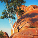 Ghost Gum & Devils Marbles, Early Morning Light, Pastel, 47 x 72cm