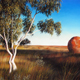 Ghost Gum & Devils Marbles, Sunset, Pastel, 56 x 38cm