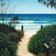 Beach Path (People's Choice Award, Live Life Villages Art Prize 2010), Pastel, 40 x 90cm