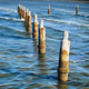 Sandgate Pylons (Overall Winner, Live Life Villages Art Prize 2010), Pastel, 55 x 55cm