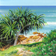 Coolum Beach Pandanus, Gouache, 9 x 9cm