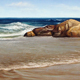 Currumbin Rocks No.4, Pastel, 43 x 13cm