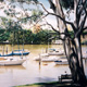 Shady Restspot, Brisbane River, Pastel, 70 x 50cm