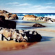 Elephant Rock, Currumbin Beach No.2, Pastel, 60 x 36cm